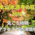 大本山 永源寺2018の紅葉見ごろ時期とアクセス情報