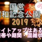国営昭和記念公園2019の桜ライトアップのついての情報です