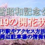 国営昭和記念公園の開花状況やアクセス方法などの情報をご紹介致します