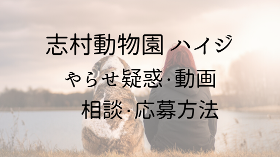 志村どうぶつ園 犬猫や動物と話せるハイジはヤラセ 動画 相談応募方法も クリーム色の日々