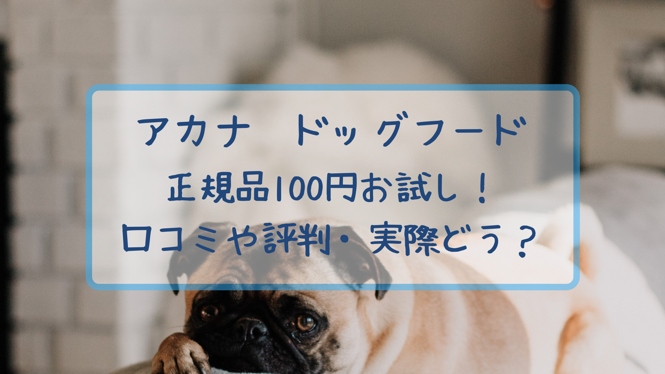 アカナacanaドッグフード正規品お試し 購入者の口コミと評判 取扱店は クリーム色の日々