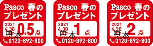 パスコ キャンペーン 2020