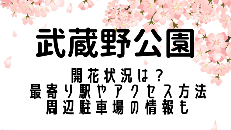 武蔵野公園の桜2021の開花状況は？最寄り駅やアクセス方法は？周辺駐車場の情報も