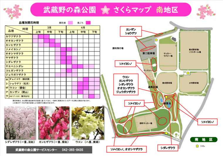 武蔵野公園の桜マップ南区
